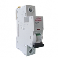 automatic fuse 16a b shellenberg